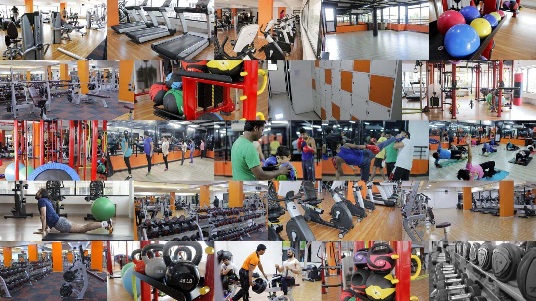 Intense Gym - Best gym in Nashik - Best in Nashik