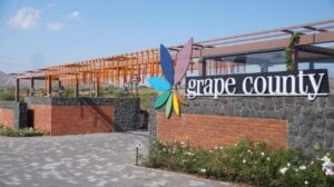 Grape County - Best Resort In Nashik