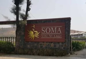 Soma Vineyards - Best Resort in Nashik