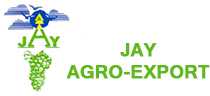 Jay Agro Export - Onion Exporters in Nashik