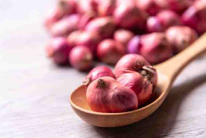 Onion Exporters in Nashik