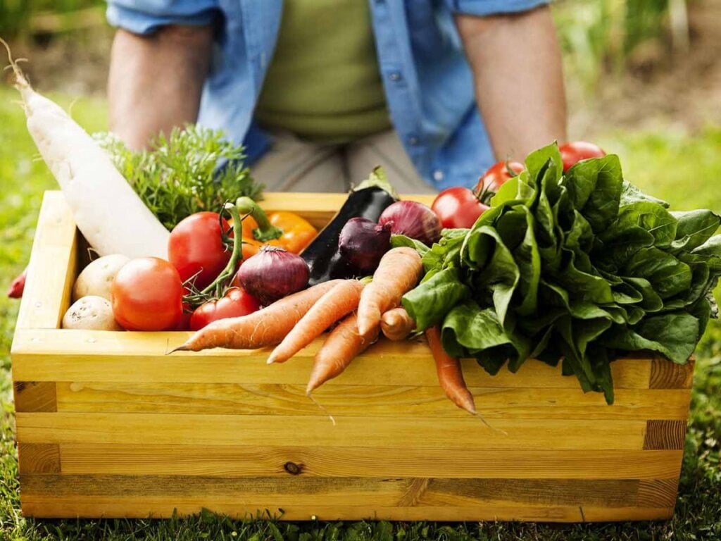 9 Best Herbs and Seeds That Can Boost Your Immunity
