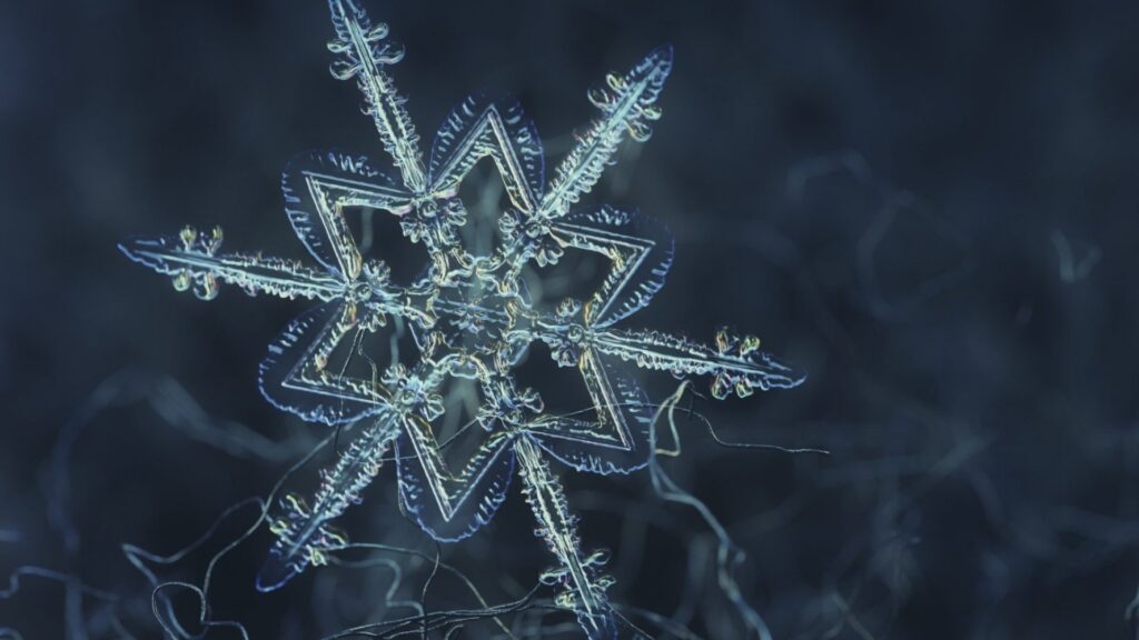 Snow Flake Test