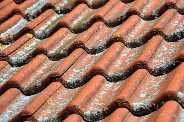 Roof Maintenance Tips