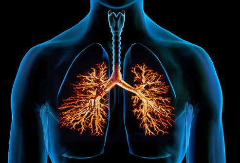 Causes and Risk factors of bronchitis
