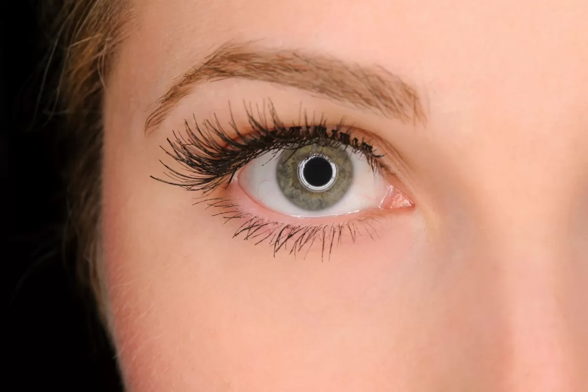 The 3 Most Prominent Types of False Eyelashes